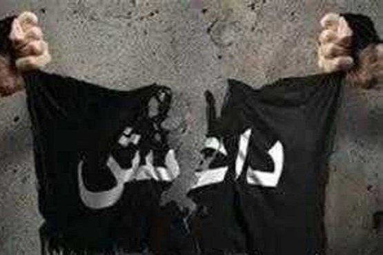 دستگیری هفت عنصر داعش در موصل