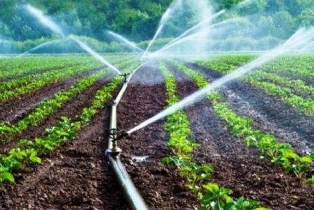 آذربایجان‌غربی در تجهیز اراضی کشاورزی به آبیاری نوین در کشور اول شد