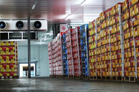 صادرات روزانه 3 هزار تن سیب در آذربایجان غربی آغاز شد