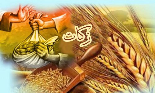 مردم نیکوکار شهرستان آبدانان ۹ میلیارد ریال زکات پرداخت کردند