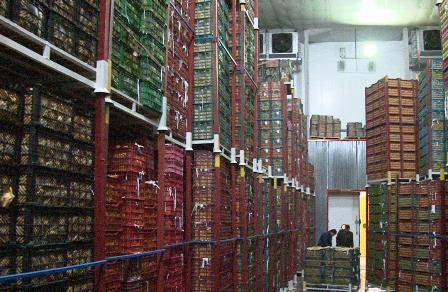 آذربایجان غربی بزرگترین ظرفیت سردخانه ای کشور/ مجوز جدید توجیه اقتصادی ندارد