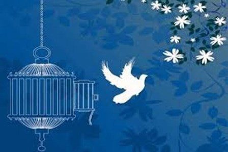سازش در ١٣٠ پرونده قصاص طی ٣ سال در آذربایجان غربی