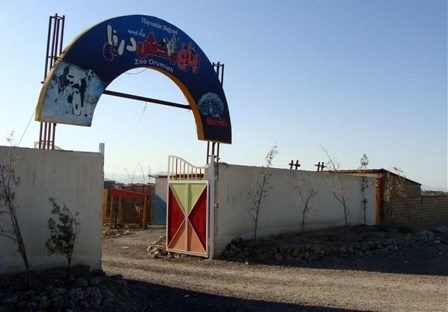 تنها باغ وحش ارومیه مجوز ندارد/ مدیر کل محیط زیست استان خوشبین به بقای این مکان است!