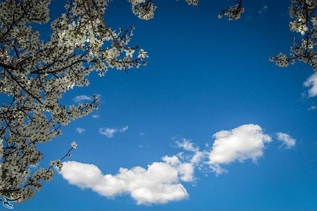 هوای کردستان بهاری می شود