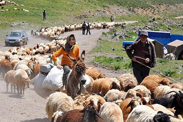 کوچ بهاره عشایر کرمانشاه به تعویق افتاد