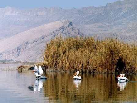 تداوم داستان تکراری عدم تخصیص حقابه تالابهای آذربایجان غربی از سوی وزارت نیرو