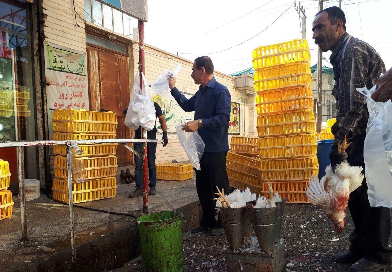 نبود عزم جدی برای مبارزه با مغازه های عرضه مرغ زنده در کرمانشاه /تعطیلی مراکز عرضه غیربهداشتی گوشت مرغ و قرمز نیازمند همراهی همه مسئولان است