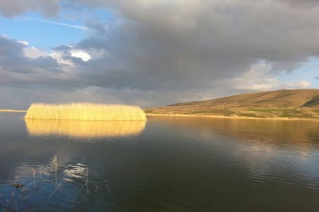 باران به تالاب «کانی‌برازان» مهاباد جانی دوباره داد
