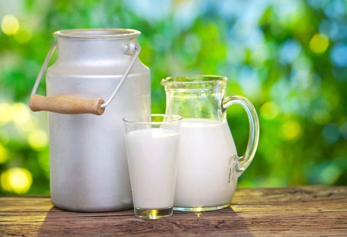 عشایر آذربایجان‌غربی رتبه اول تولید شیر در کشور را دارند