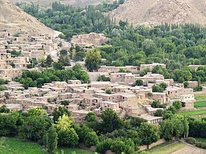 ١٢۵ هزار خانوار روستایی آذربایجان‌غربی فاقد بیمه هستند