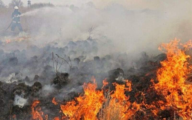 آتش معتادان به جان پارک جنگلی توس نوذر سنندج