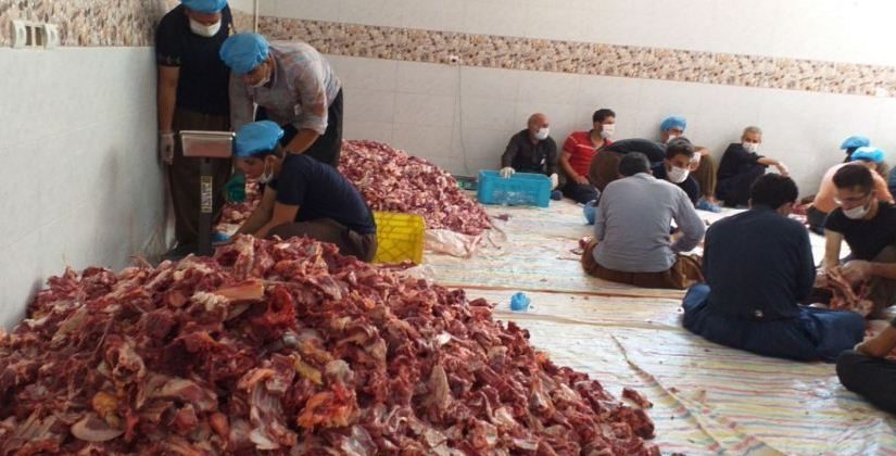 خیرین «بانه وره» 4 تن گوشت قربانی بین خانواده ها توزیع کردند