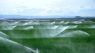 اراضی مشمول طرح گرمسیری نیازمند برنامه کشت اقتصادی است
