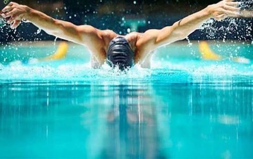 رئیس هیات شنای کردستان انتخاب شد