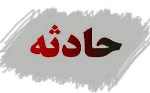 حمله سگ هار موجب مرگ کودک روستایی در مهاباد شد