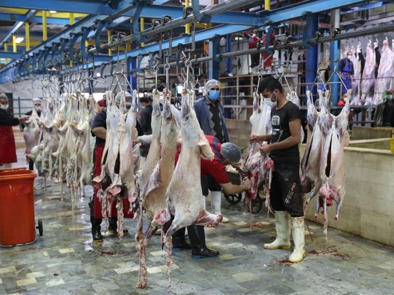 قیمت گوشت قرمز در بازار کرمانشاه کاهش پیدا می کند