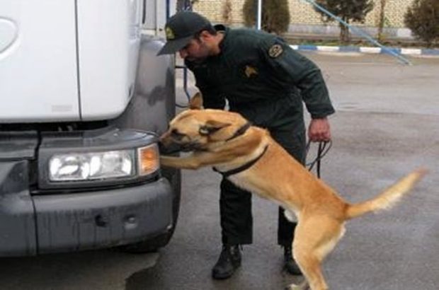 کشف ۷ کیلوگرم مواد مخدر در دهلران