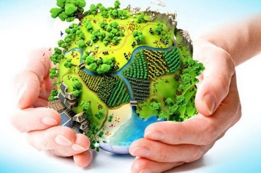 سکوت محیط زیست کردستان در برابر کشتار حیوانات