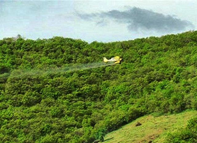 عملیات سمپاشی هوایی جنگل های بلوط آذربایجان غربی آغاز شد
