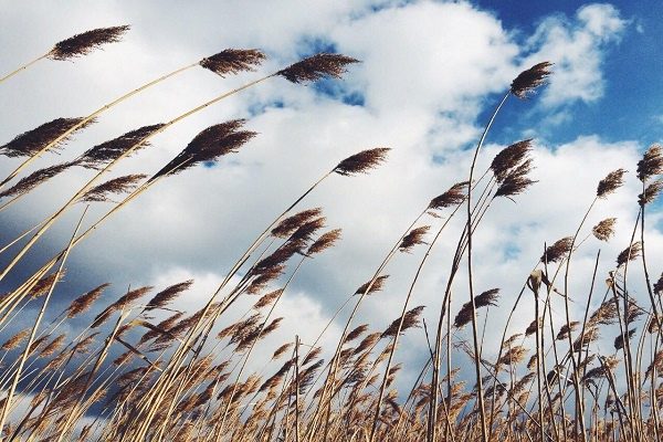 پیش بینی افزایش دما و ورود گرد و غبار به آذربایجان غربی