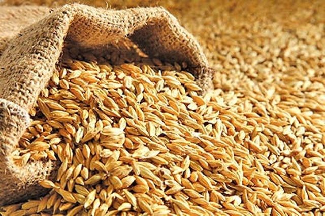رانت در بازار نهاده های دامی و فروش در بازار آزاد/دامداران نهاده دریافت نمی کنند!
