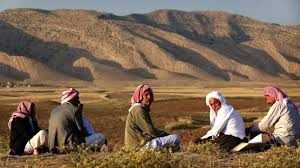 Will the Sinjar Agreement in Iraq hold? / Sami Moubayed