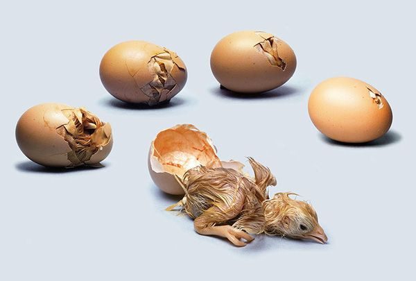 قطعی های مکرر برق در مهاباد خسارت میلیاردی بر جای گذاشت