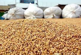 محموله 5700 کیلوگرمی خوراک دام و طیور در کردستان توقیف شد