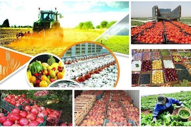 اتاق اصناف کشاورزی آذربایجان غربی راه اندازی می شود