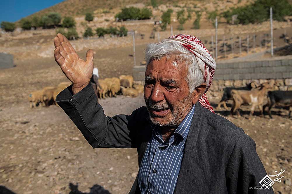 عشایر  زردوئی اورامان در انتظار آبرسانی سیار/ عبداله مرادی
