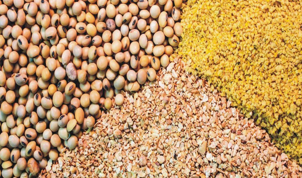بیش از ۱۱۳ هزار تن نهاده دام و طیور در کردستان توزیع شد