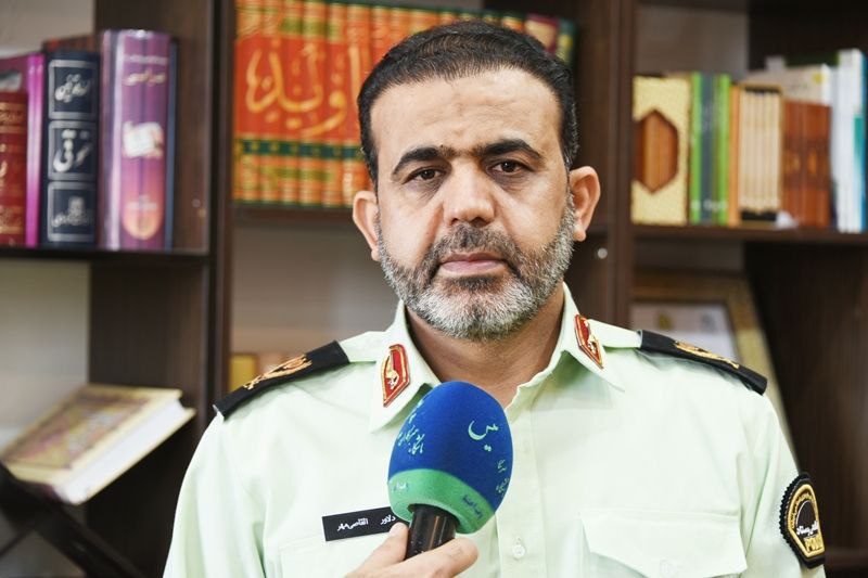 کشف ۱۶ تُن خوراک آلوده دامی قاچاق در ایلام