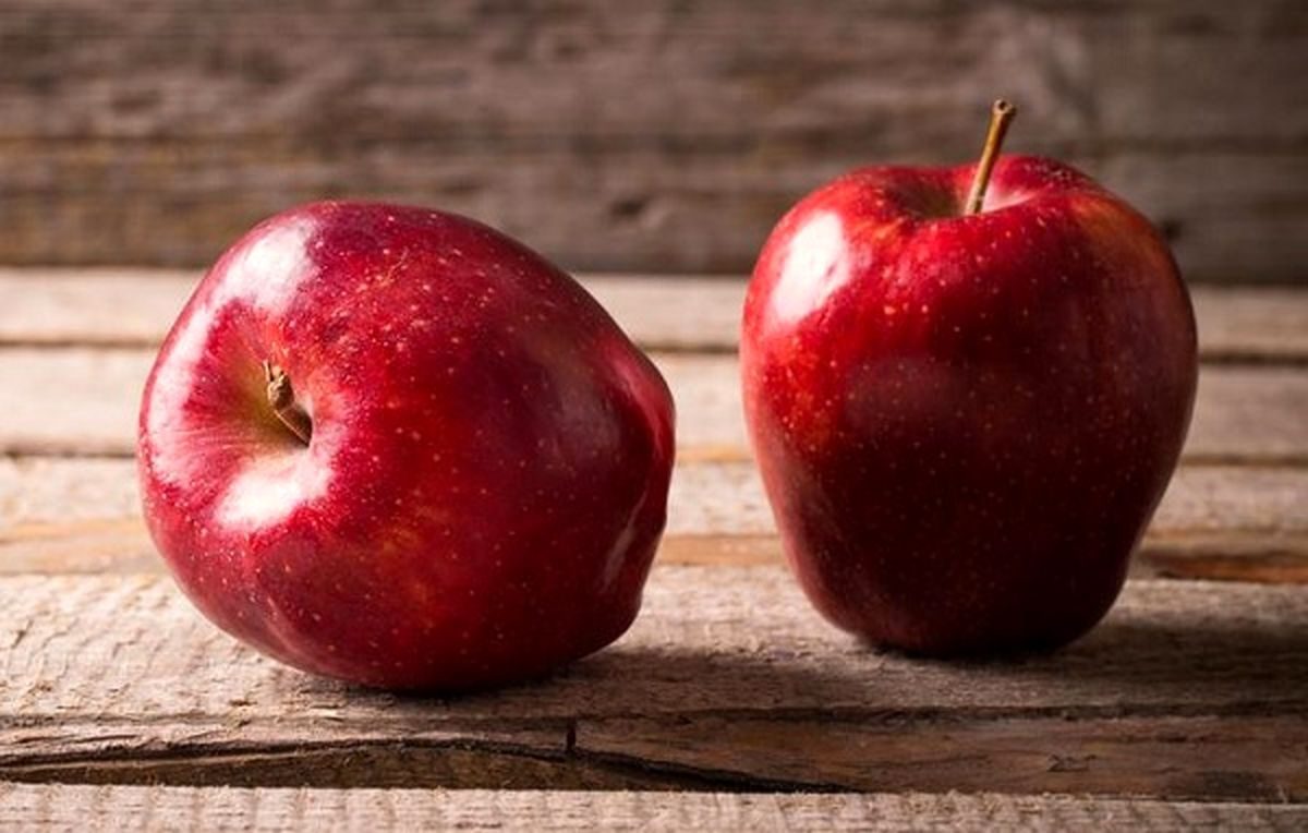 صادرات ۶۵ هزار تن سیب از آذربایجان غربی/ باید مطابق سلیقه بازار هدف اقدام شود