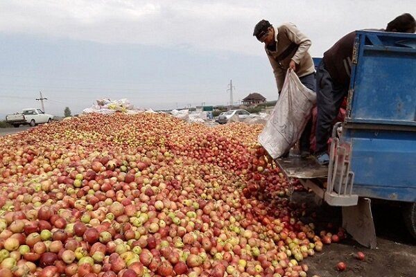 شرکت های آستان قدس رضوی مشتری سیب صنعتی آذربایجان غربی شدند