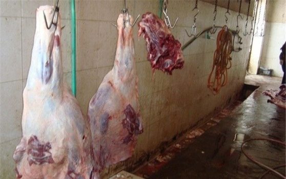 ساختمان کشتارگاه دام مریوان قدیمی و غیراستاندارد است