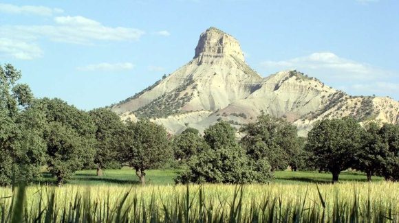 خودت را کوچک نشمار تا تو را کوچک فرض نکنند! / یاسر بابایی