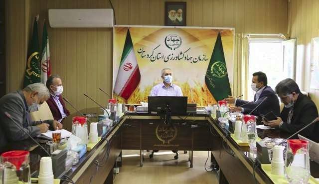 کشاورزان در صورت استفاده از بذر گواهی شده، سهمیه کود بیشتری دریافت می کنند