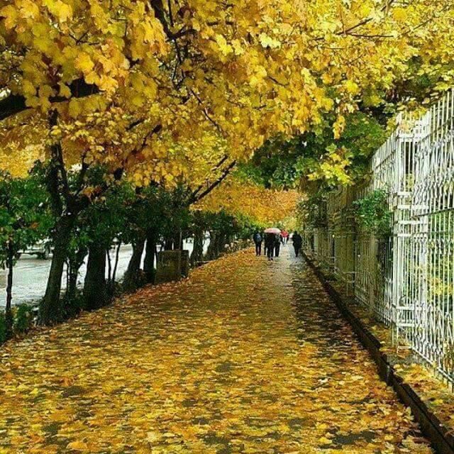 کاهش ١٠ درجه ای دمای آذربایجان غربی/خطر یخ زدگی محصولات کشاورزی