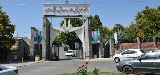 آنچه سیاسی کاری بر سر بهداشت و درمان کردستان آورد/ نهادهای ناظر به فوریت ورود کنند