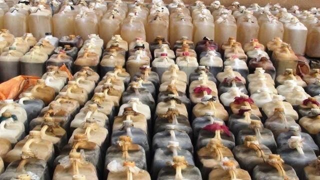 کشف ۲۸۰۰ لیتر گازوئیل قاچاق در قصرشیرین