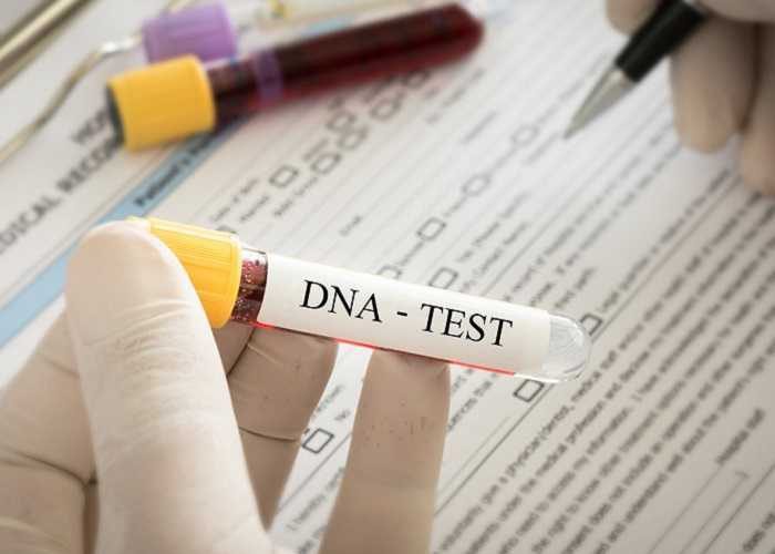 آغاز روند انجام آزمايش DNA برای معاودین ایلام برای اثبات هویت ایرانی بودن