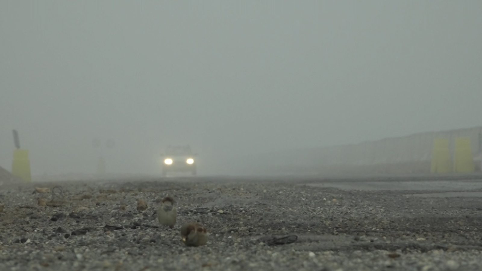 دید افقی در مهاباد به کمتر از ۳۰ متر کاهش یافت