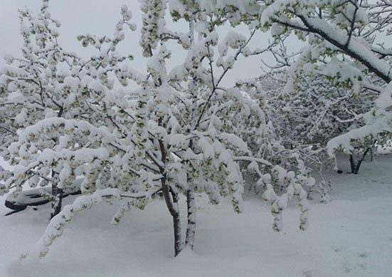 دیواندره و بابارشانی در صدر سردترین شهرهای کشور قرار گرفتند