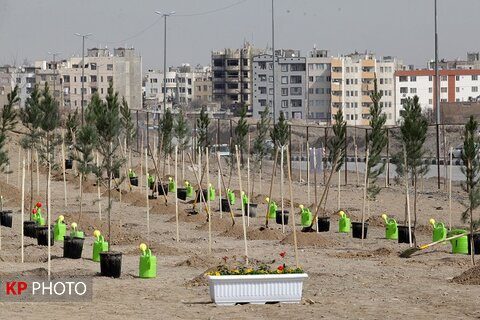 طرح «هر شهروند؛ یک نهال» در ارومیه اجرایی می‌شود
