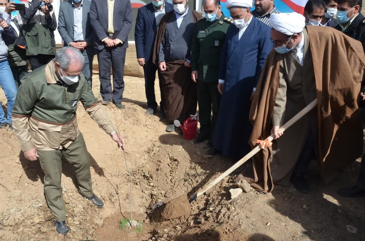 اولین روز هفته درختکاری در ایلام گرامی داشته شد