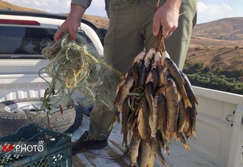 دستگیری شکارچی متخلف با رصد فضای مجازی در دهگلان