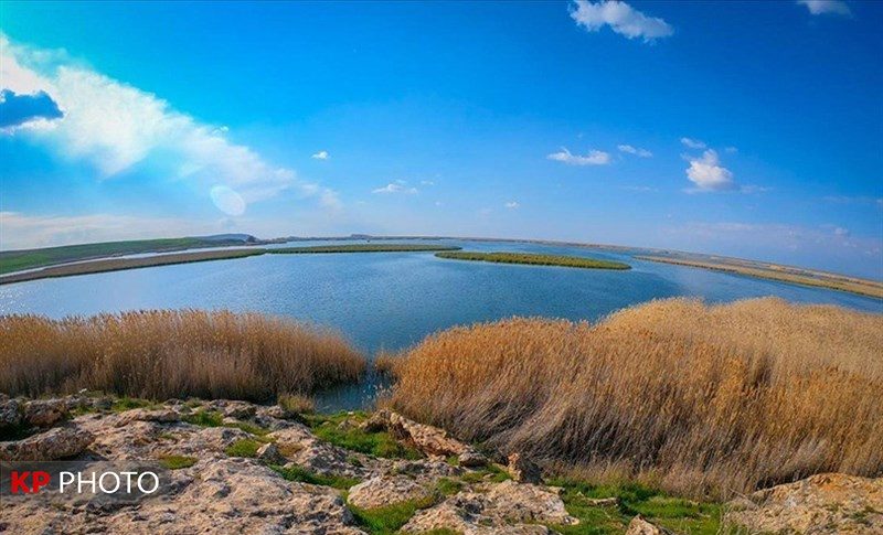 ٨٠ درصد ظرفیت «بهشت پرندگان ایران» آبگیری شد