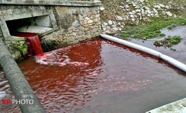 رودخانه مهاباد رنگ خون گرفت