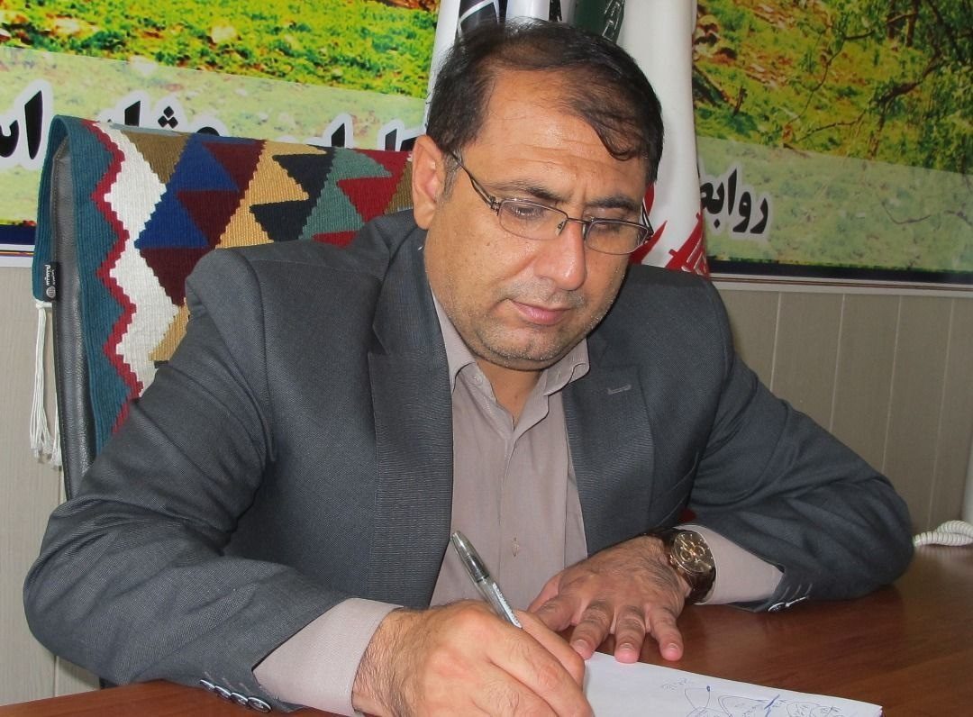 ۳۰ هزار تن نهاده دامی بین عشایر استان ایلام توزیع می شود / از سرگیری خرید دام مازاد عشایر ایلام