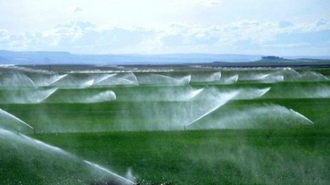 اجرای بیش از ۲ هزار هکتار سیستم نوین آبیاری تحت فشار در کرمانشاه